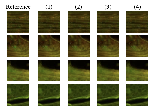 Plug-and-Play Proximal Graphical Model for Demosaicing of Microscopy Images